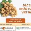 [Infographics] Đặc sản nhãn tươi Việt Nam vươn mình ra thế giới