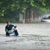 Trung Quốc: Mưa lớn làm 12 người thiệt mạng, cảnh báo vỡ đê