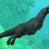 Ai Cập phát hiện hóa thạch cá voi lưỡng cư có niên đại 43 triệu năm