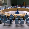 Toàn thể phiên họp của Hội đồng Bảo an Liên hợp quốc. (Ảnh: TTXVN)