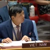 Việt Nam đề cao tiến trình chuyển tiếp phù hợp với từng quốc gia