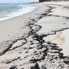 Quảng Trị lên phương án xử lý lượng dầu vón cục trôi dạt vào bờ biển