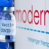 Moderna phát triển vaccine điều trị COVID-19 kết hợp cúm hàng năm