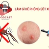 [Audio] Đề phòng dịch sốt xuất huyết trong thời điểm dịch COVID-19