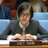 Việt Nam kêu gọi thực hiện luật nhân đạo quốc tế tại Ethiopia