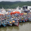 Quảng Trị hoàn thành sắp xếp thuyền tránh trú trước 12 giờ ngày 7/10