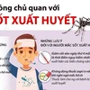 [Infographics] Không chủ quan với diễn biến nặng bệnh sốt xuất huyết