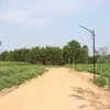 Lâm Đồng: Phát hiện nhiều sai phạm trong hiến đất làm đường để phân lô