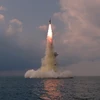 HĐBA họp khẩn cấp về vụ Triều Tiên phóng thử tên lửa từ tàu ngầm