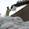 Nhu cầu thế giới tăng, cơ hội rộng mở với doanh nghiệp xuất khẩu gạo