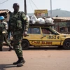 HĐBA gia hạn nhiệm vụ Phái bộ gìn giữ hòa bình tại Cộng hòa Trung Phi