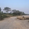 Dự án AIC nằm trên địa bàn huyện Mê Linh, Hà Nội, sau hơn 10 năm triển khai vẫn chỉ là khu đất hoang, cỏ mọc um tùm và rác thải đổ bừa bãi. (Ảnh: Mạnh Khánh/TTXVN)