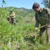 Thêm nguồn lực cho công tác quản lý, bảo vệ rừng tại Đắk Nông