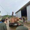 Thừa Thiên-Huế: Phát hiện hàng chục phách gỗ Chua không rõ nguồn gốc
