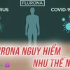 [Audio] Những nguy cơ khi mắc đồng thời cúm mùa và virus SARS-CoV-2