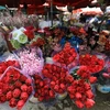 Giá hoa hồng Đà Lạt chuẩn bị cho ngày Valentine tăng gấp từ 2-3 lần