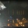 IAEA bày tỏ quan ngại về nhà máy điện hạt nhân Zaporizhzhia ở Ukraine