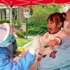 Gần 50% số trẻ em từ 0-9 tuổi ở Hàn Quốc đã mắc dịch COVID-19