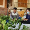 Sơn La nâng tầm thương hiệu cây trồng chủ lực na Mai Sơn