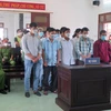 Phạt tù 34 bị cáo liên quan đến vụ phá rừng tại Phú Yên