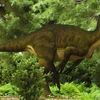 Phát hiện hóa thạch loài khủng long ăn thịt cuối cùng trên Trái Đất