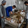 IS đánh bom xe chở khách ở Afghanistan gây thương vong