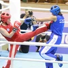 SEA Games 31: Môn Kickboxing xác định được tất cả các trận chung kết