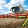 Ukraine có thể xuất khẩu tối đa 60 triệu tấn ngũ cốc trong 9 tháng tới