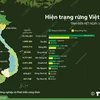 [Infographics] Việt Nam có hơn 14,7 triệu ha đất rừng năm 2021