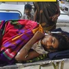 Người mẹ gan dạ tay không đánh hổ bảo vệ con nhỏ tại Ấn Độ