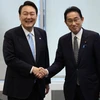 Quan chức Nhật Bản đánh giá tích cực cuộc gặp thượng đỉnh Nhật-Hàn