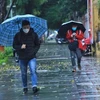 Bắc Bộ và Thủ đô Hà Nội có mưa, trời rét, nhiệt độ thấp nhất 16 độ C