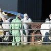 Hà Lan tiêu hủy hàng chục nghìn con gia cầm để ngăn dịch cúm
