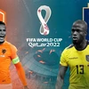 World Cup 2022: Bảng A - Hà Lan và Ecuador tranh nhau vé đi tiếp