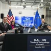 Mỹ, EU cam kết hợp tác giải quyết quan ngại về Đạo luật Giảm lạm phát