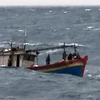 Kịp thời ứng cứu 7 thuyền viên tàu cá bị chìm ở vùng biển Thanh Hóa
