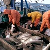 Đảo Greenland đình chỉ thỏa thuận đánh bắt cá với Nga