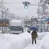 Nhật Bản: Hàng trăm phương tiện mắc kẹt trên cao tốc do tuyết rơi dày
