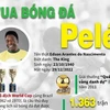 [Infographics] Vua bóng đá Pele kết thúc hành trình vĩ đại