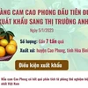 [Infographics] Xuất khẩu gần 7 tấn cam Cao Phong đầu tiên sang Anh