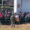 Mexico phát hiện 269 người trốn trong một chiếc xe đầu kéo