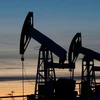 Mức độ tác động của các biện pháp trừng phạt đối với dầu mỏ Nga