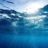 Vi khuẩn dưới nước sử dụng "ăngten" để thu năng lượng Mặt Trời