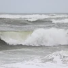 Đề phòng triều cường kết hợp sóng lớn tại khu vực ven biển Nam Bộ