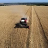 Ba Lan tạm thời ngừng nhập khẩu ngũ cốc Ukraine do nông dân phản đối