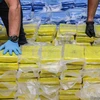 Cảnh sát Bỉ triệt phá đường dây buôn bán cocaine xuyên châu lục