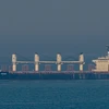 Nga nêu điều kiện gia hạn thỏa thuận Sáng kiến Ngũ cốc Biển Đen 