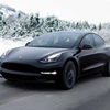Tesla giảm giá một số mẫu xe ở Mỹ lần thứ sáu trong năm 2023