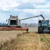 Nhóm Visegrad muốn EU áp đặt thuế nhập khẩu đối với ngũ cốc Ukraine