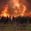 Nhiệt độ giảm giúp “hạ nhiệt” các đám cháy rừng ở miền Tây Canada